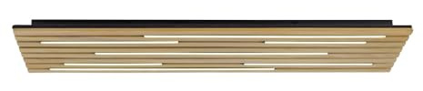 Paul Neuhaus LED Deckenleuchte Akustik Paneel Eiche natur 115cm rechteckig | Smarthome, Echtholzfurnier, Fernbedienung, CCT warmweiß – kaltweiß