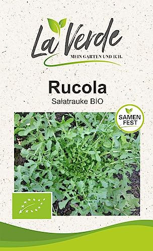 Rucola Esmee BIO Salatsamen