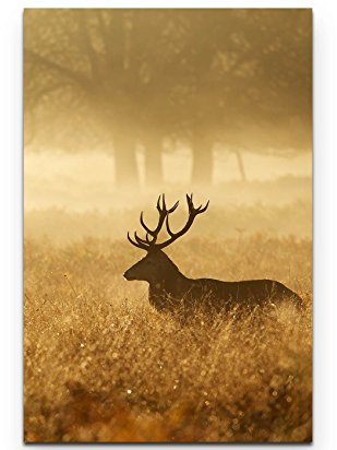 Paul Sinus Art Leinwandbilder | Bilder Leinwand 90x60cm Silhouette eines Hirsch im Wald