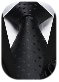 HISDERN Krawatten Für Herren Gepunktete Klassische Taschentuch Formelle Elegant Krawatte & Einstecktuch Set Für Hochzeit Party Business