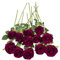 Woltoy 12 Pcs Dark Red Fake Velvet Roses, Real Touch Artificial Roses with Single Long Stem, Red Roses Artificial Flowers for Home, Garden, Party, Wedding Bouquet, Office Decorations.