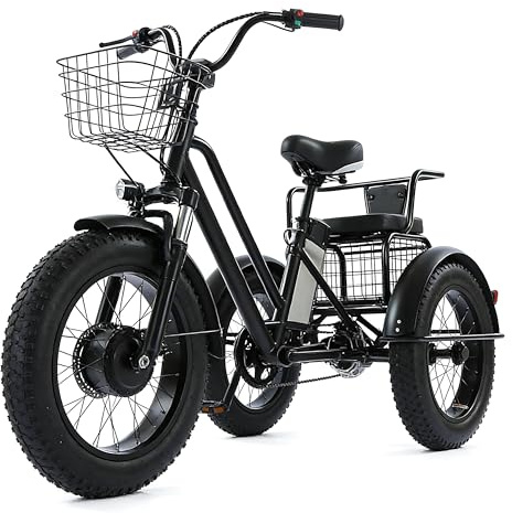 Dfdieratve Triciclo Elettrico 3 Ruote con Pneumatici Larghi 20 - 500W, 40km/h, Perfetto per Tutti i Terreni e Neve, Adatto a Anziani, Trasporto e Pendolari