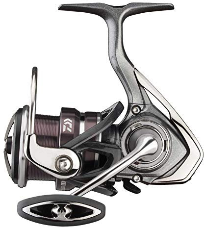 Angeln Daiwa Exceler LT 3000-C
