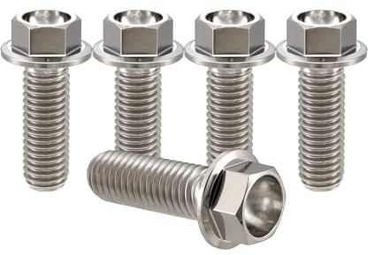 RISON-Titanium Sechskantschrauben mit Flansch M8x1.25x20mm, 5 Stück Titanschrauben Sechskant Kopf Schrauben, Flanschschrauben Titanbolzen Maschinenschrauben für Motorrad, Fahrrad Modifikation