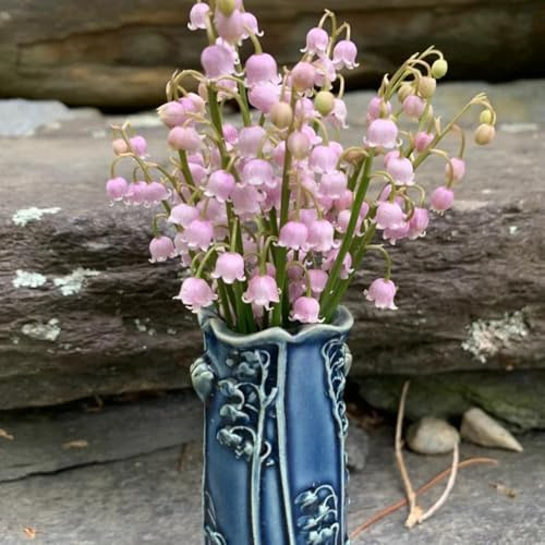 10bulbos Comprar de lirio de los valles, jardín lirio los valles balcón, mini jardín ación temprana, silvestres, balcón primavera
