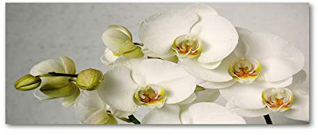 Tulup Glas-Bild Wandbild aus Glas - Wandkunst - Wandbild hinter gehärtetem Sicherheitsglas - Dekorative Wand für Küche & Wohnzimmer 125x50 - Blumen & Pflanzen - Weiße Orchidee - Weiß