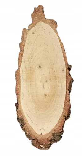 Schräg geschnittene Birkenholzscheibe für DIY & Dekoration – naturbelassen, gereinigt, mit Rinde – ideal für kreative Bastelideen & Hochzeitsdeko (1er pack), 26-35cm 2cm