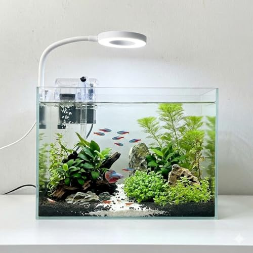Nano Aquarium Kit 2.2 Gallon, Rimless Glass Betta Fish Tank with Filter & LED Light, 12 x 6 x 8 Small Desktop Fish Tank for Home Office (Transparent, Complete)