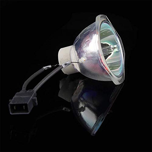 Lampe de projecteur de remplacement Lampe de projecteur Fit pour ELPLP96 V13H010L96 FIT POUR EPSON EB-W05 EB-W39 EB-W42 EH-TW5600 EH-TW650 EX-X41 EX3260 EX5260 EX9210 EX9220 Ampoule de lampe de projec