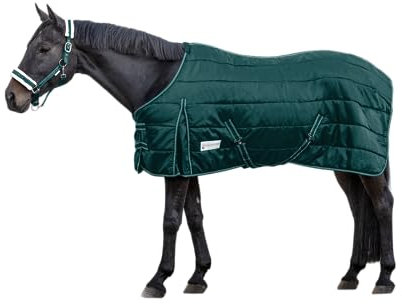 WALDHAUSEN Economic Stalldecke, 100 g, 155 cm, grün