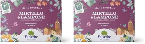 VALVERBE Tisane Mirtillo e Lampone Biologico 20 Filtri - Pacco da 12-180 g