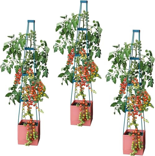 Self Watering 4 Tier Tomato Tower Jumbo Fruit & Vegetable Vine Plant, Support Grower, Decorative Multi Stage 1.5m Weatherproof Tower Garden Planter by Garden Grow (Tomato Tower x3)