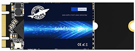 Dogfish Ngff - Disco rigido interno SSD M.2 2260 da 1 TB, ad alte prestazioni, per laptop desktop SATA III 6 Gb/s, SSD incluso (1 TB M.2 2260)