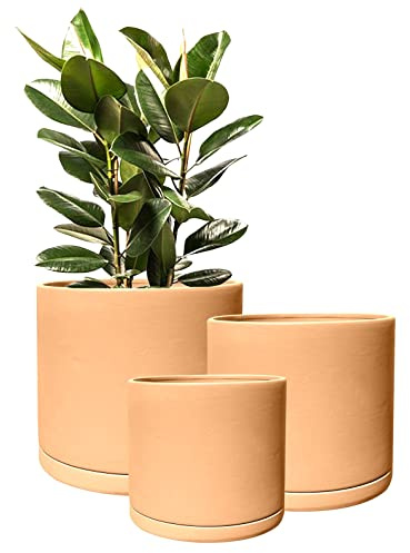 Olly & Rose Roma - Set di 3 vasi da giardino in terracotta, per interni ed esterni, in ceramica, rotondi, con piattini