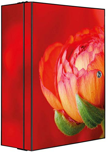 banjado Medizinschrank abschliessbar mit Motiv Ranunkel 35x46x15cm - großer Arzneischrank für die Hausapotheke - Medikamentenschrank aus Metall zur Medikamenten Aufbewahrung