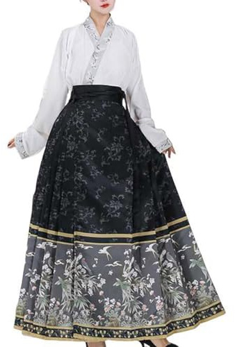 Women's Traditional Chinese Hanfu Costume Swallow Mamianqun Top with Horse Face Skirt Spring Style (1006# Black, S)