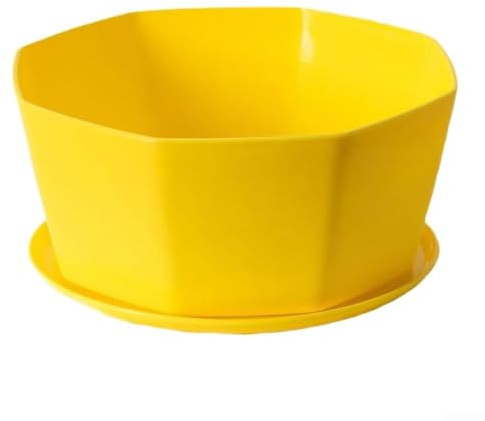 Oniissy 4 macetas redondas de plástico para suculentas con agujeros de drenaje, macetas grandes para decoración de balcón y jardín en varios colores (grande)