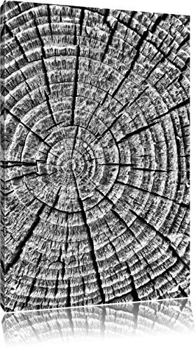 Pixxprint Baumstamm Jahresringen, Größe: 80x60cm, Leinwandbild, fertig gespannt, Wandbild, Dekoration, Kunstdruck, kein Poster