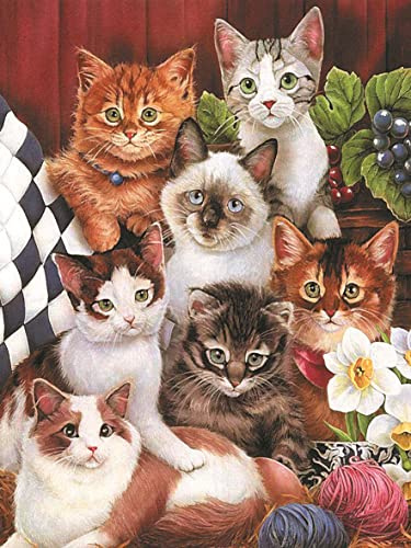 Puzzle 500 Teile Erwachsene Katzen 52 x 38 cm Puzzles für Erwachsene Lernspiel 500-teilige Katzen Puzzles