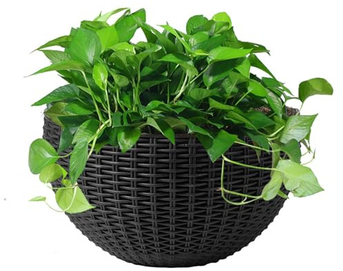 Wandbehang Pflanzgefäß – Rattan-Blumenkorb, halbrund, rustikaler dekorativer Wandbehang, Blumentopf, Wand-Pflanzgefäß für drinnen und draußen, 21,6 x 16,4 cm, Schwarz