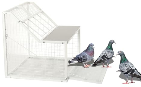 CDZHLTG Cage volière pour Oiseaux, Cage Métal 50x47x50 cm à Porte à Pedale, Volière pour Pigeon, Oiseaux et Petits Animaux de Compagnie, Design Argenté Robuste