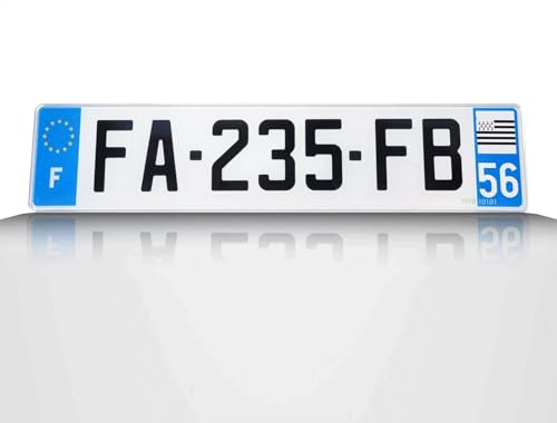 DECOHO - Plaque immatriculation Voiture homologuée - Plastique SIV 520 x 110 mm - Rivet Plaque immatriculation Inclus