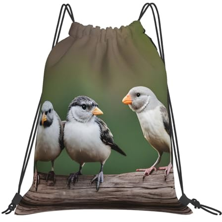 Lätt dragsko simväska tre fåglar tryck sträng säck premium simning ryggsäck för semestrar skolkvinnor 36 x 42 cm