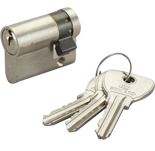 BRICARD - Cylindre de serrure à protection renforcée 30 + 10 ALPHA