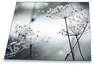 Herdabdeckplatte Abdeckung Ceranfeld Abdeckplatte Schneidebrett 1-Teilig 60x52 Pusteblume Wilder Dill Grau Spritzschutz Glasplatte Ceranfeldabdeckung Herdschutz Sicherheitsglas Glasschneidebrett