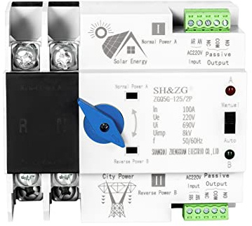 DEWIN Interruptor de Transferencia Automático, 2P 100A 220V AC Fotovoltaico Interruptor de Transferencia Automático Ininterrumpible de Doble Potencia Interruptor Automático de Conmutación