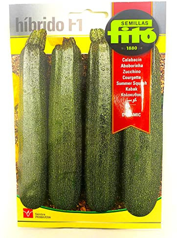 Semillas de Calabacin Hibrido F1 Dynamic Sobre 40 uds (3)
