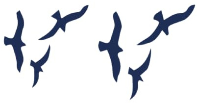 Tattwo.me – Temporäre Tattoos für Erwachsene und Kinder, hält 2 Wochen, wasserfest – Vogelschwarm – Pflanzliche Tinte – EU-Kosmetik-Zertifikat – (P0590)