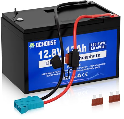 DCHOUSE Batterie au Lithium 12V 12Ah Lifepo4, Connecteur Câbles et Port CC | Batterie Lifepo4 Rechargeable de Plus de 4000 Cycles avec BMS 15A pour Bateau, Jouet à Enfourcher