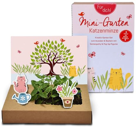 Tool & Tree mini-Garten Katzenminze – Pop-Up DIY Garten Set für Katzenliebhaber & Familien – inkl. Katzenminze-Saatgut, Anzuchtschale & Bastel-Deko – nachhaltiges Geschenkidee für kreative Köpfe