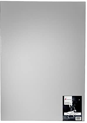 Photolux Professional Matte Paper DUO 230 gsm, beidseitig bedruckbar Fotopapier in Premiumqualität DIN A2 (420x594mm) 50 Blatt