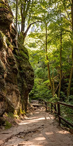 wandmotiv24 Türtapete Wanderweg im Wald, Felsen, Bäume, Natur 80 x 200cm (B x H) - Selbstklebende Strukturtapete Sticker für Türen, Türfolie, Aufkleber, M1393