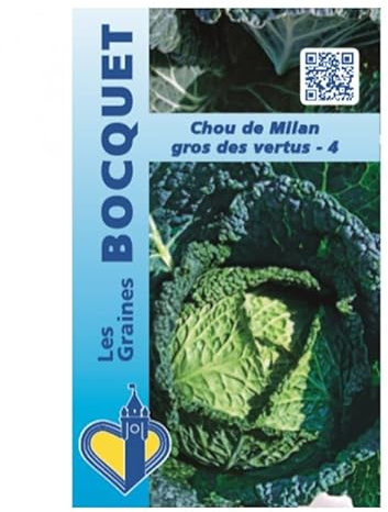 Sachet de graines de Chou de Milan gros des vertus-4-3 g - légume feuille - LES GRAINES BOCQUET