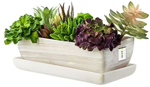 botle keramisk blomkruka blomskål kaktusskål underlägg vattenhål kaktusar bonsai suckulenter (rektangulär, ljusgrå)