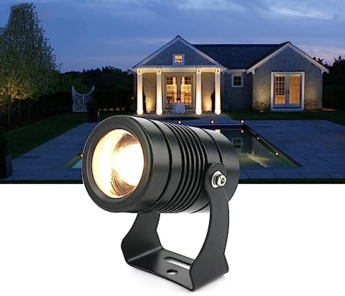 Outdoor LED Spotlight - Ground Projector Lights, 24V/85-265V LED Beam Spotlight, IP67 Waterproof Narrow Beam Spot Light, Outdoor Building Exterior Wall Projector Lights ( Color : Red , Size : 3W(DC24V