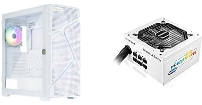 BOITIER PC MARBLESHELL MS31 blanc + ALIMENTATION MARBLEBRON 850W ARGB BLANCHE