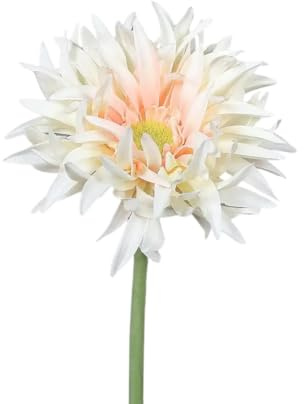 aplanta Künstliche Gerbera gefranzt - Hajo | 57 cm, für drinnen, Kunstpflanze, wie echt, Allergiker geeignet, pflanzliche Dekoration Praxis, Office & Wohnzimmer