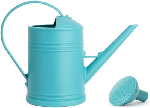Youning - Arrosoir de 2 L pour jardin - Petite arrosoir en plastique - Arrosoir pour plantes d'intérieur et d'extérieur - Arrosoir avec pomme de douche amovible - Arrosoir en plastique pour plantes
