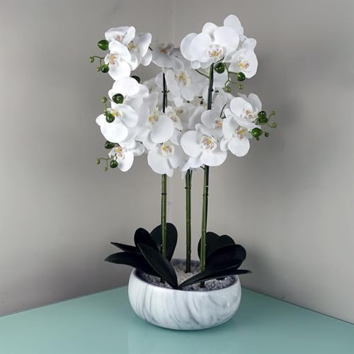 Botanik Realistic Artificial Orchid Plants Fully Potted