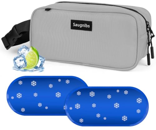 Saugnlbs Piccola borsa termica, mini borsa termica con impacchi di ghiaccio, piccola borsa termica per il pranzo con fibbia a maniglia, borsa per il pranzo congelabile per viaggi/lavoro/scuola