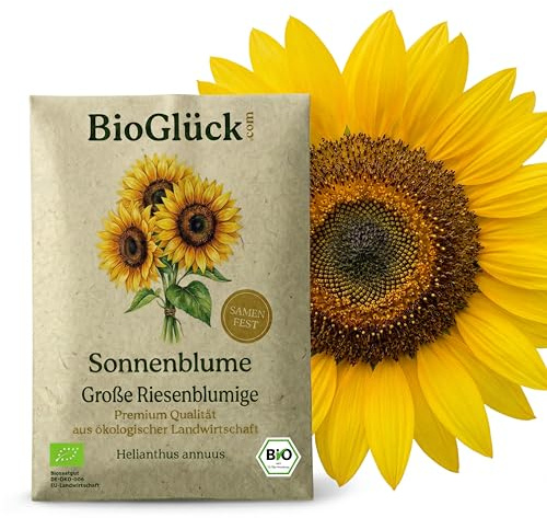 BioGlück Bio-Sonnenblume Riesenblumig Saatgut