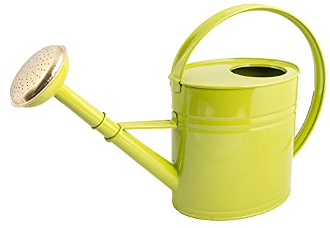 Arrosoir 4L – Acier galvanisé - Vert – Ovale – Anse ergonomique – Pomme métal démontable avec grille laiton – Robuste, léger et résistant à la corrosion – Arrosage jardin & plantes - 020342