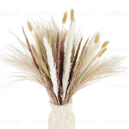 Getrocknete Pampasgras Deko Set 50 Stück Natürliche Pampasgras mit Hasenschwanz-Getreideblumen Pflanzen Blumenstrauß Boho Pampas Deko für Wohnzimmer Home Hochzeit Vasen Tischdeko