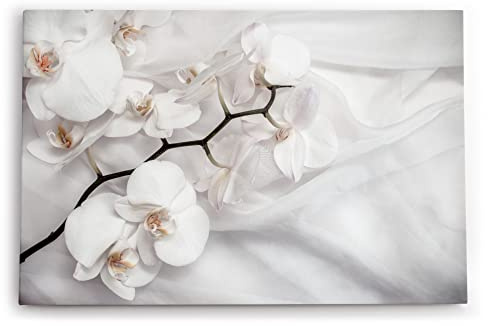 Paul Sinus Wandbild 120x80cm Weiß Orchidee Blumen Blüten Hell Fotokunst