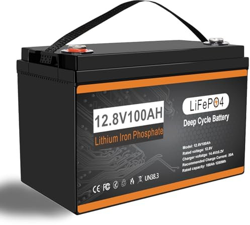 LiFePO4 Batterie 12V 100Ah Lithium Batterien mit 100A BMS Temperature Schutz 15000 Zyklen Akku Batterie für Solar Wohnmobil Camping Boot Haushalt Van