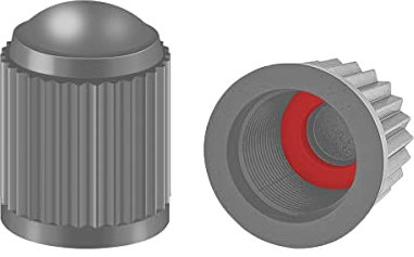 CGEAMDY 30 Pezzi Tappi per Valvole per Pneumatici, Tappini Gomme Auto, Tappi Antipolvere per Valvole Dei Pneumatici in Plastica, Con Anello Di Tenuta per SUV, Moto, Camion, Biciclette (Grigio)